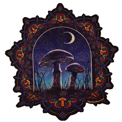 Mushroom with Moon